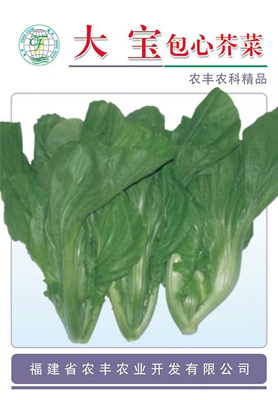 Leafy Baby (Leaf Mustard)