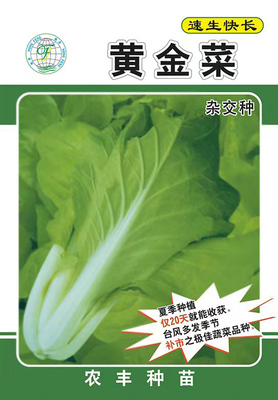 Golden Baby (Bok choy)