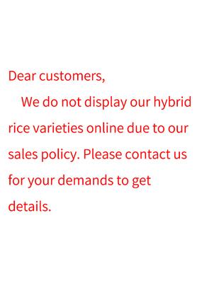 Hybrid Rice
