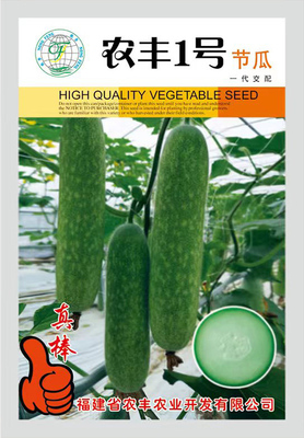 农丰1号节瓜